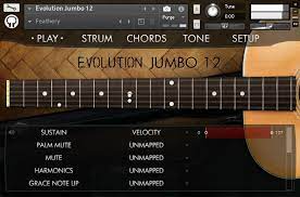 Orange Tree Samples Evolution Jumbo         12